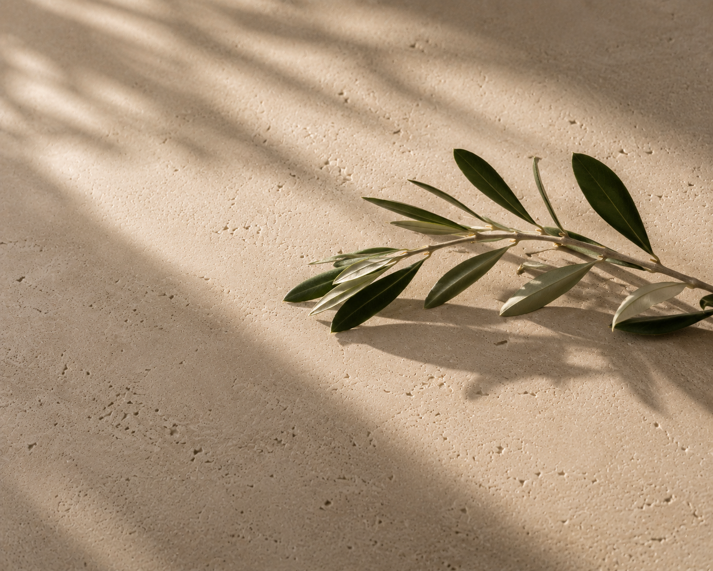 Olive Branch