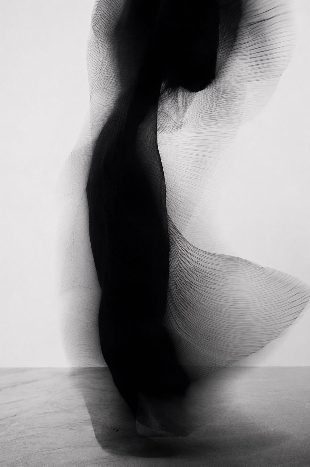 Palmira Studio editorial image